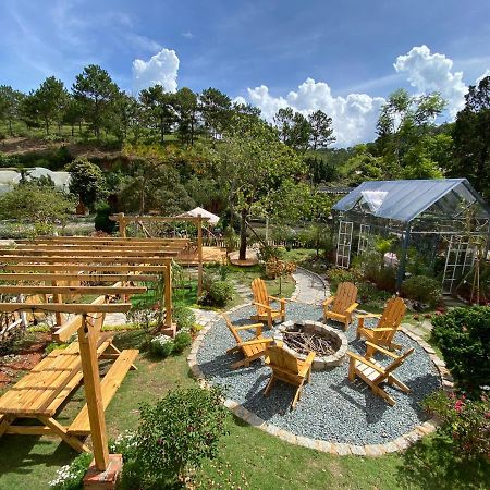 贝瑞瓦利山林小屋 大叻 外观 照片