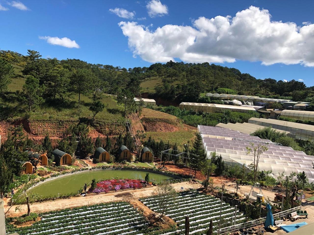 贝瑞瓦利山林小屋 大叻 外观 照片