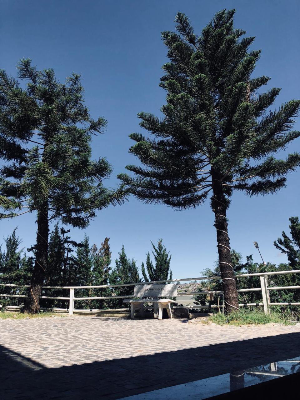 贝瑞瓦利山林小屋 大叻 外观 照片